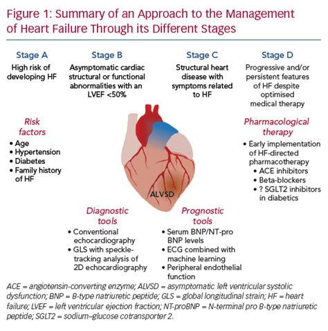 impaired lv systolic function|severe Lv systolic dysfunction treatment.